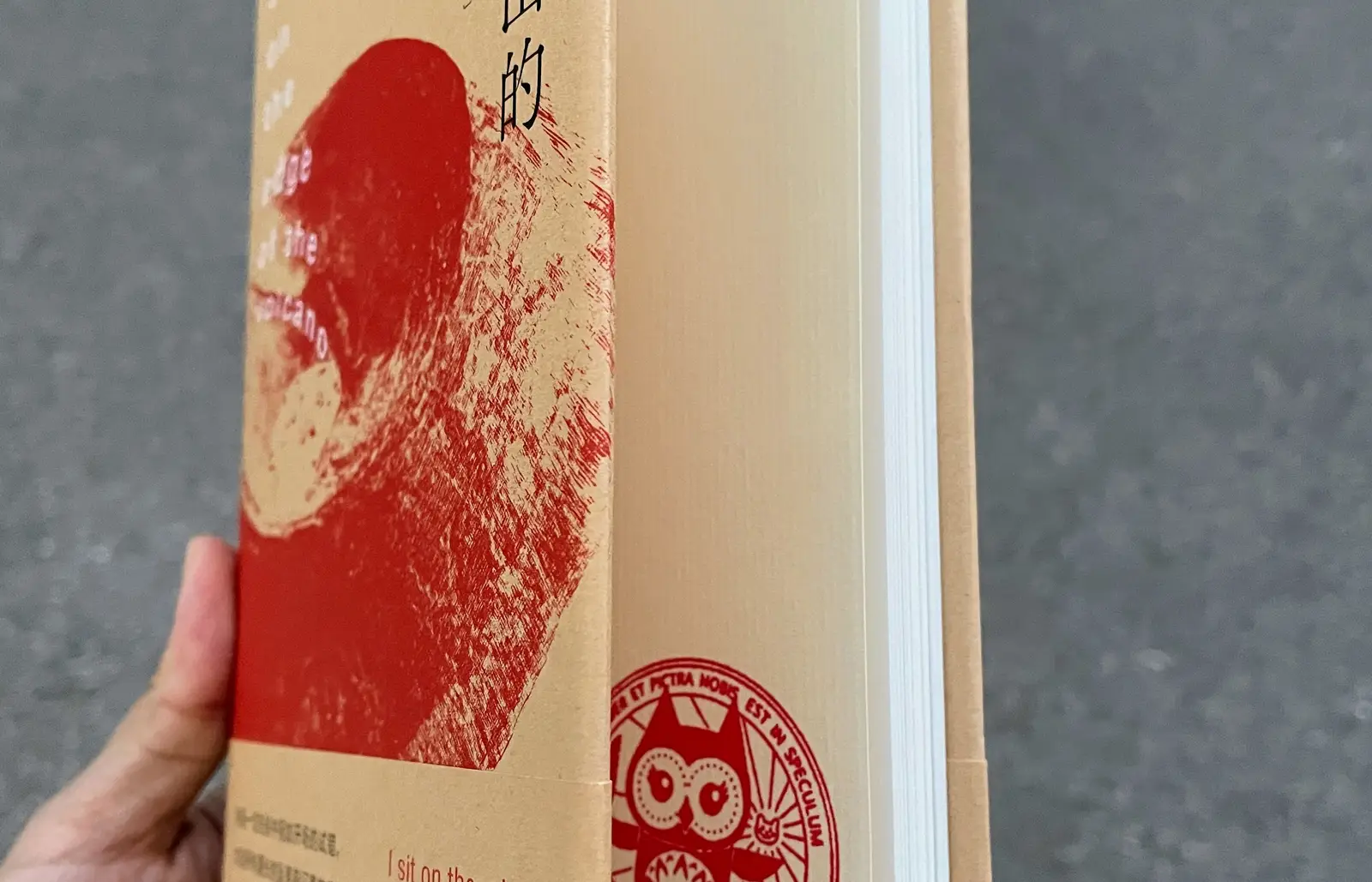 坐在火山上的人